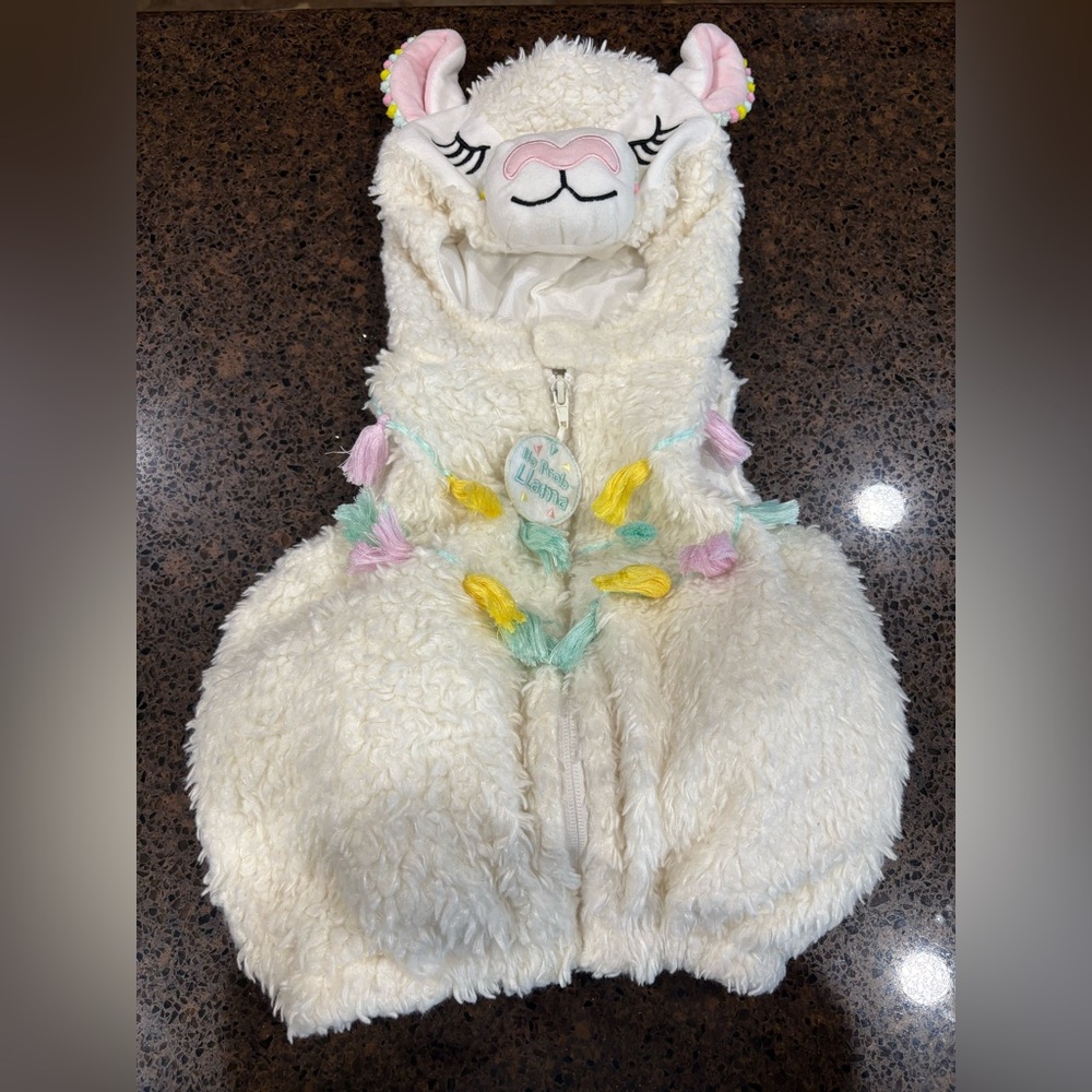 Going Wild Llama Halloween Costume